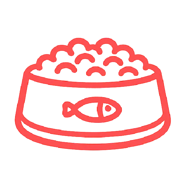 Żywienie kota